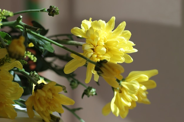 Fleurs jaunes