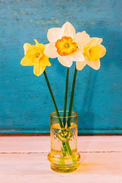 Fleurs jonquille dans un vase en verre sur un bleu