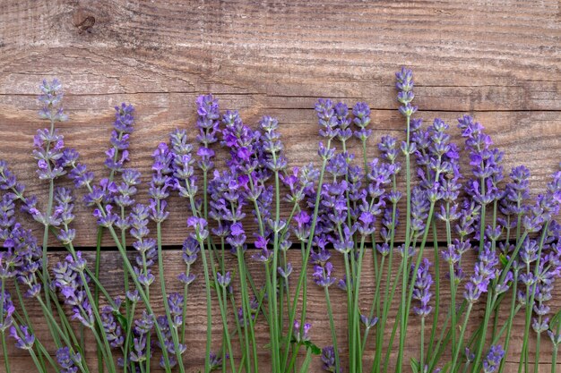 Photo fleurs de lavande sur fond de bois bordure florale ou cadre avec lavande