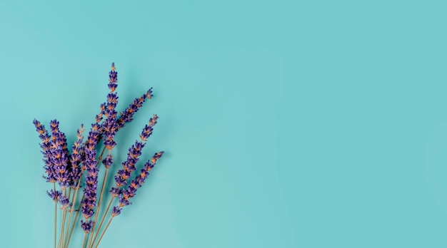 Fleurs de lavande sur fond de menthe Espace pour le texte photos de haute qualité pour calendrier et cartes