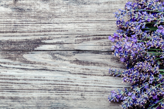 fleurs de lavande fraîches fleurissent sur fond de planche de bois rustique ancien avec espace de copie