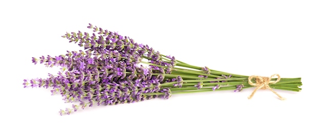 Fleurs de lavande isolées sur fond blanc bouquet de lavande ou fleurs de lavande herbes médicinales