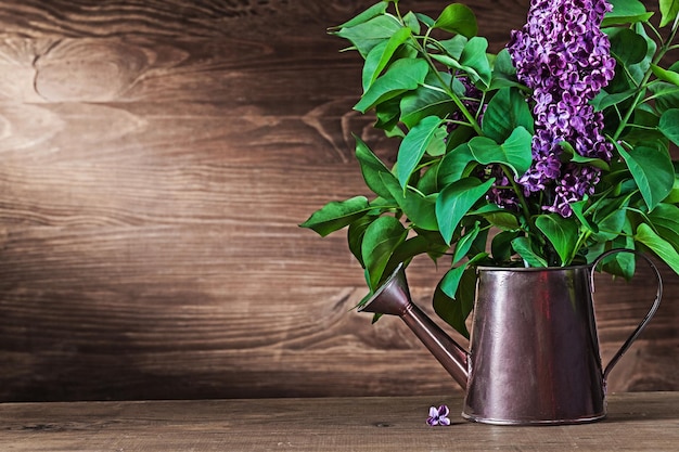 Fleurs lilas en arrosoir vintage sur bois