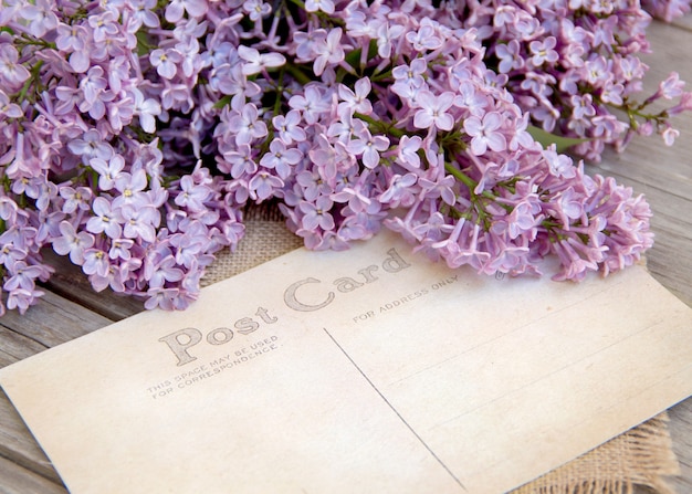 Fleurs lilas et carte postale ancienne sur bois patiné bouchent