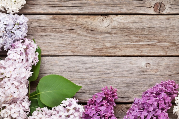 Fleurs lilas colorées