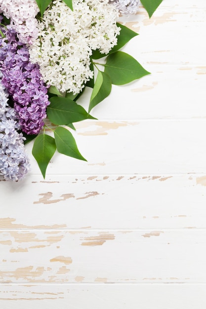 Fleurs lilas colorées