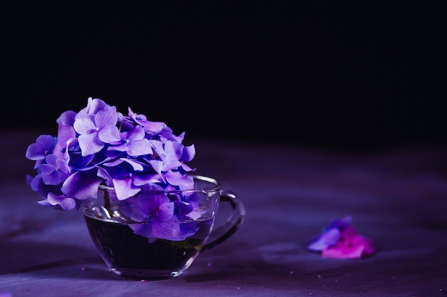 fleurs lilas dans un bocal en verre