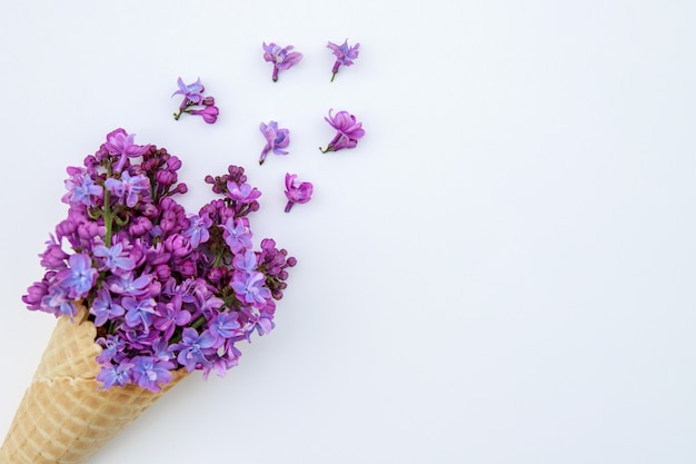 Fleurs lilas dans un cornet de crème glacée sur fond blanc.