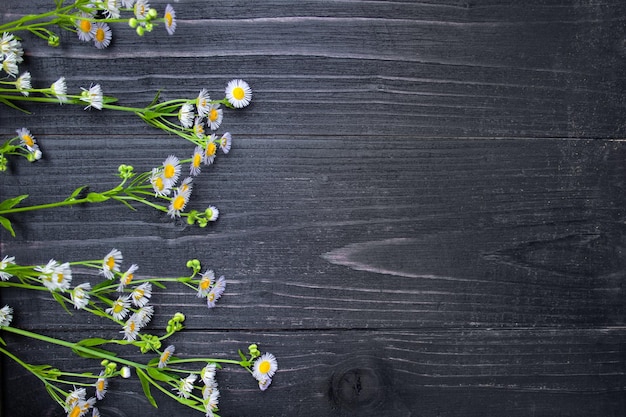Photo des fleurs de lilas délicates sur un fond en bois sombre copier l'espace