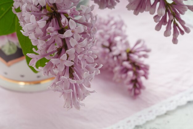 Fleurs lilas sur la fenêtre au soleil