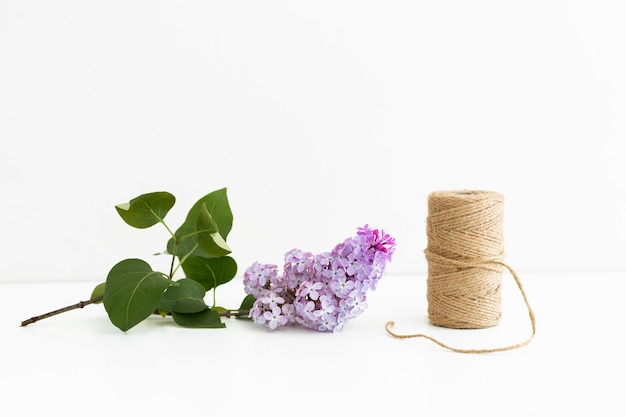 Fleurs lilas isolés sur fond blanc