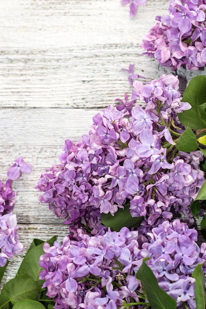 Fleurs de lilas de printemps en fleurs sur un bois blanc