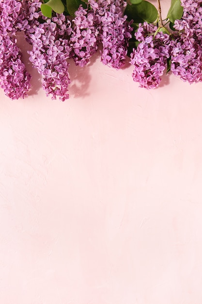 Fleurs lilas sur rose