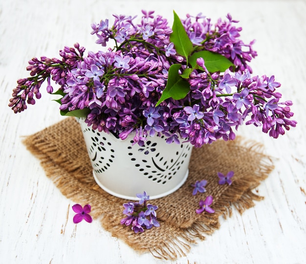 Photo fleurs lilas