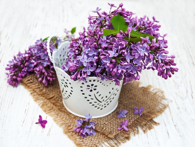 Fleurs lilas