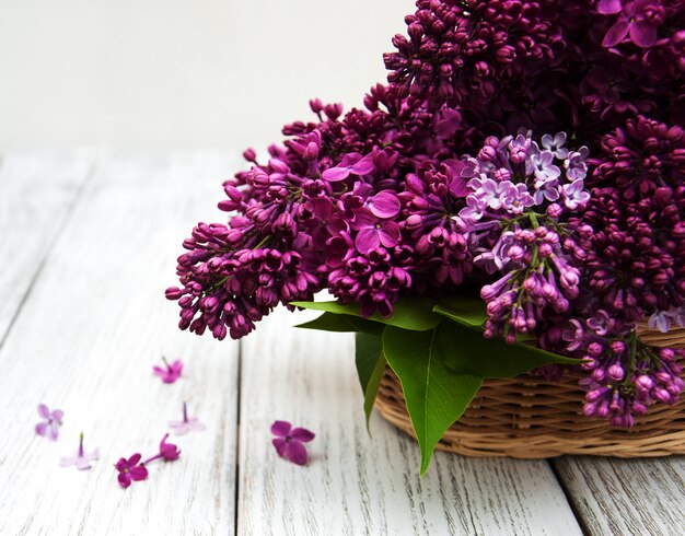 Fleurs lilas