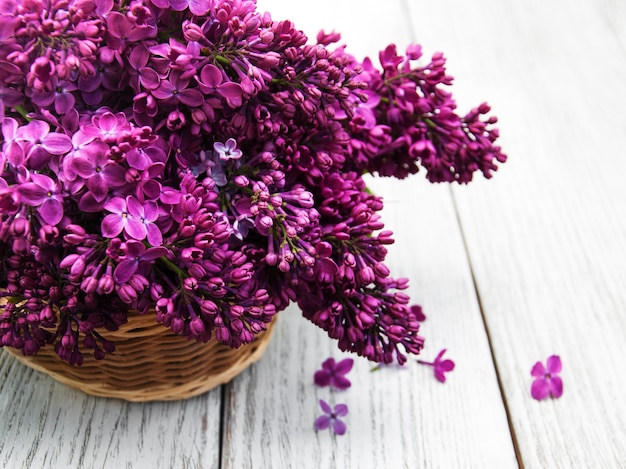 Fleurs lilas