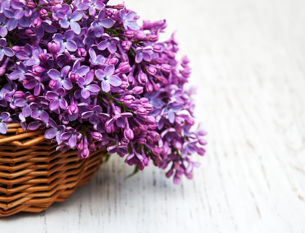 Fleurs lilas