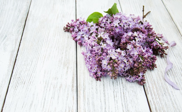 Fleurs lilas