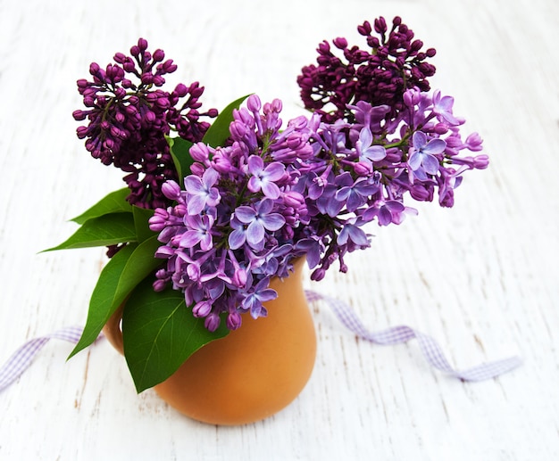 Fleurs lilas