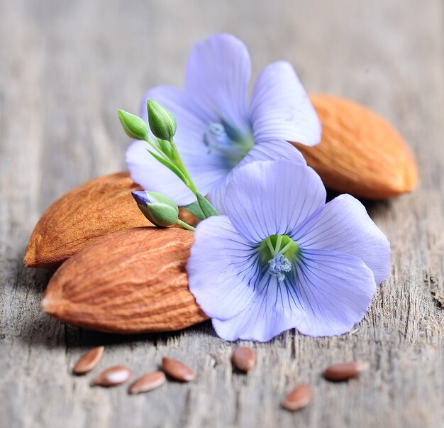 Fleurs De Lin Et Amandes Sur La Texture En Bois