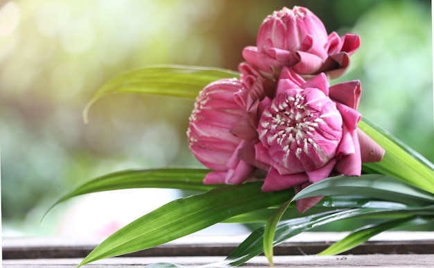 fleurs de lotus pourpre sur une table en bois sur sceen