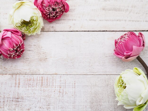 Fleurs de lotus rose sur la table en bois.