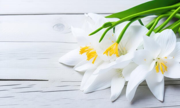 Des fleurs de lys sur un fond blanc en bois