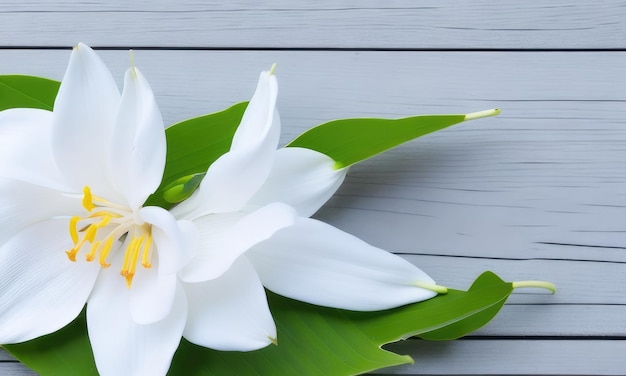 Des fleurs de lys sur un fond blanc en bois