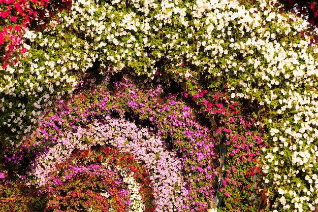 Fleurs magnifiquement disposées dans une décoration florale de jardin à l'extérieur