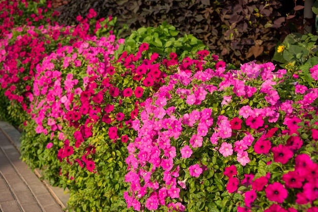 Fleurs magnifiquement disposées dans une décoration florale de jardin à l'extérieur