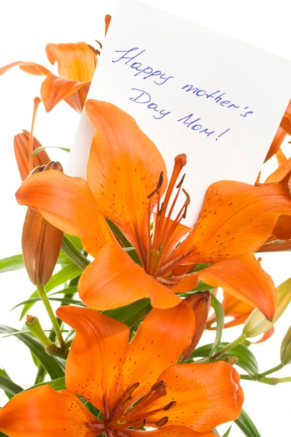 Fleurs à maman