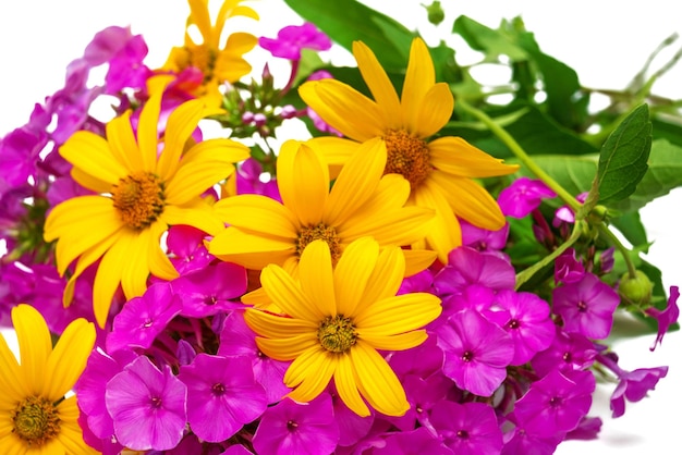 Fleurs de marguerite jaune et phlox violet isolé sur fond blanc