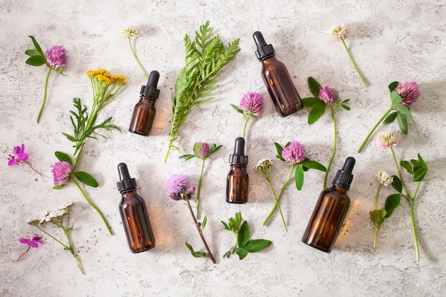 Fleurs médicales herbes herbes essentielles en bouteilles. médecine douce. mélèze trèfle tanaisie rosier