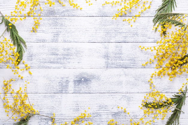 Fleurs de Mimosa sur un fond de table en bois