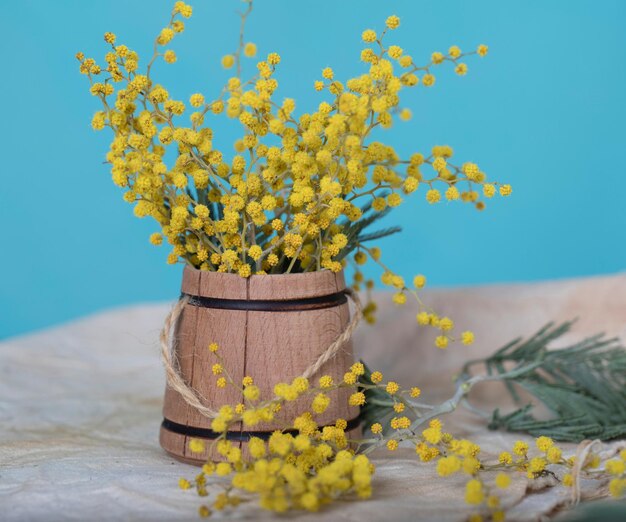 Fleurs de mimosa sur une surface en bois. Fermer