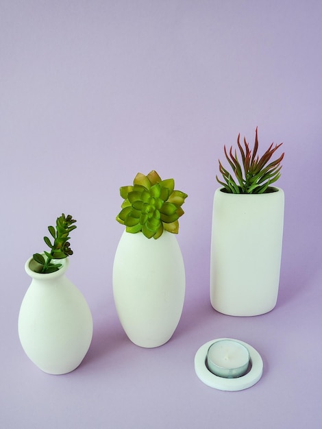Fleurs de minimalisme dans des vases