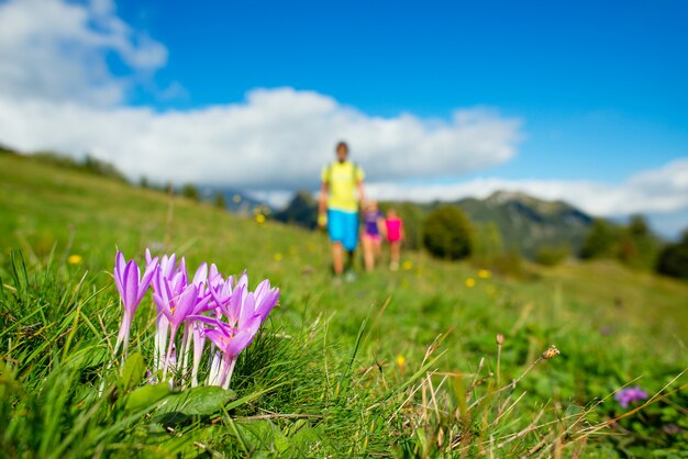 Fleurs de montagne en famille lors d'une randonnée