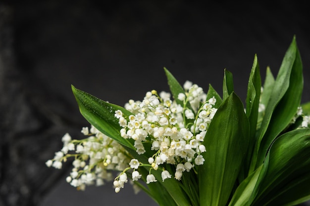 Des fleurs de muguet blanc se tiennent dans un vase avec des feuilles vertes et des gouttes de rosée