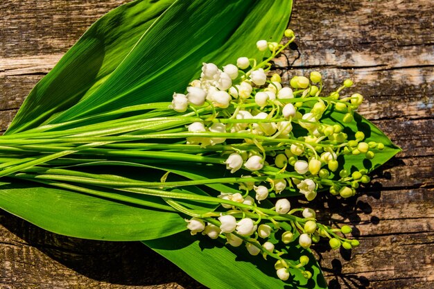 Fleurs de muguet sur fond de bois rustique Vue de dessus