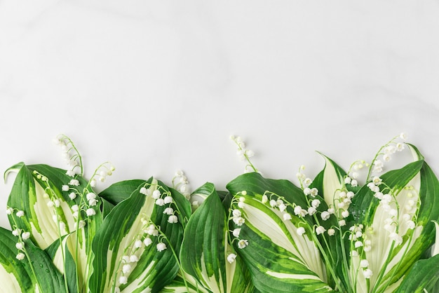 Fleurs de muguet sur une surface blanche