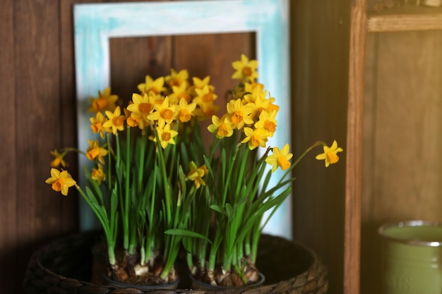 Fleurs de narcisse en fleurs sur fond de bois