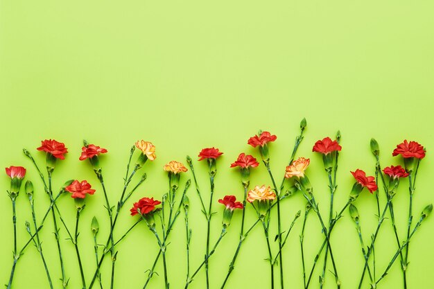 Fleurs d'oeillet rouge sur fond vert.