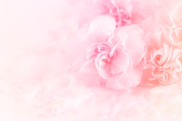 Des fleurs d'ongle roses