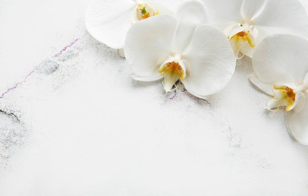 Fleurs d'orchidées blanches sur fond de marbre blanc