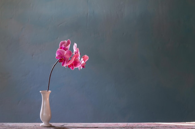 Fleurs d'orchidées dans un vase sur fond bleu