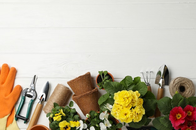Fleurs et outils de jardinage sur fond en bois, espace pour le texte
