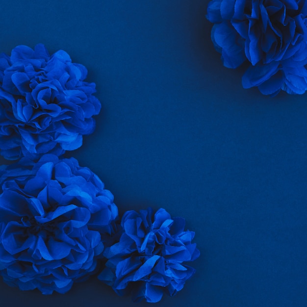 Photo fleurs en papier bleu