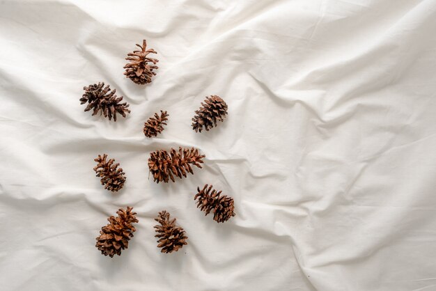 Fleurs de pin séchées sur tissu blanc.