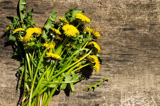 Fleurs de pissenlit jaune sur fond de bois rustique. Vue de dessus